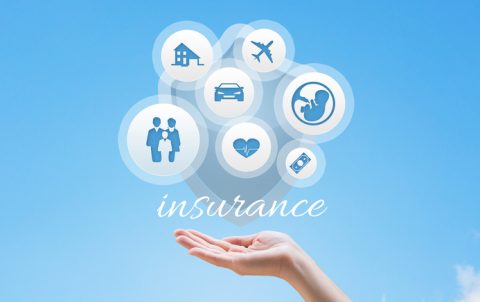 Insurance Services illustration