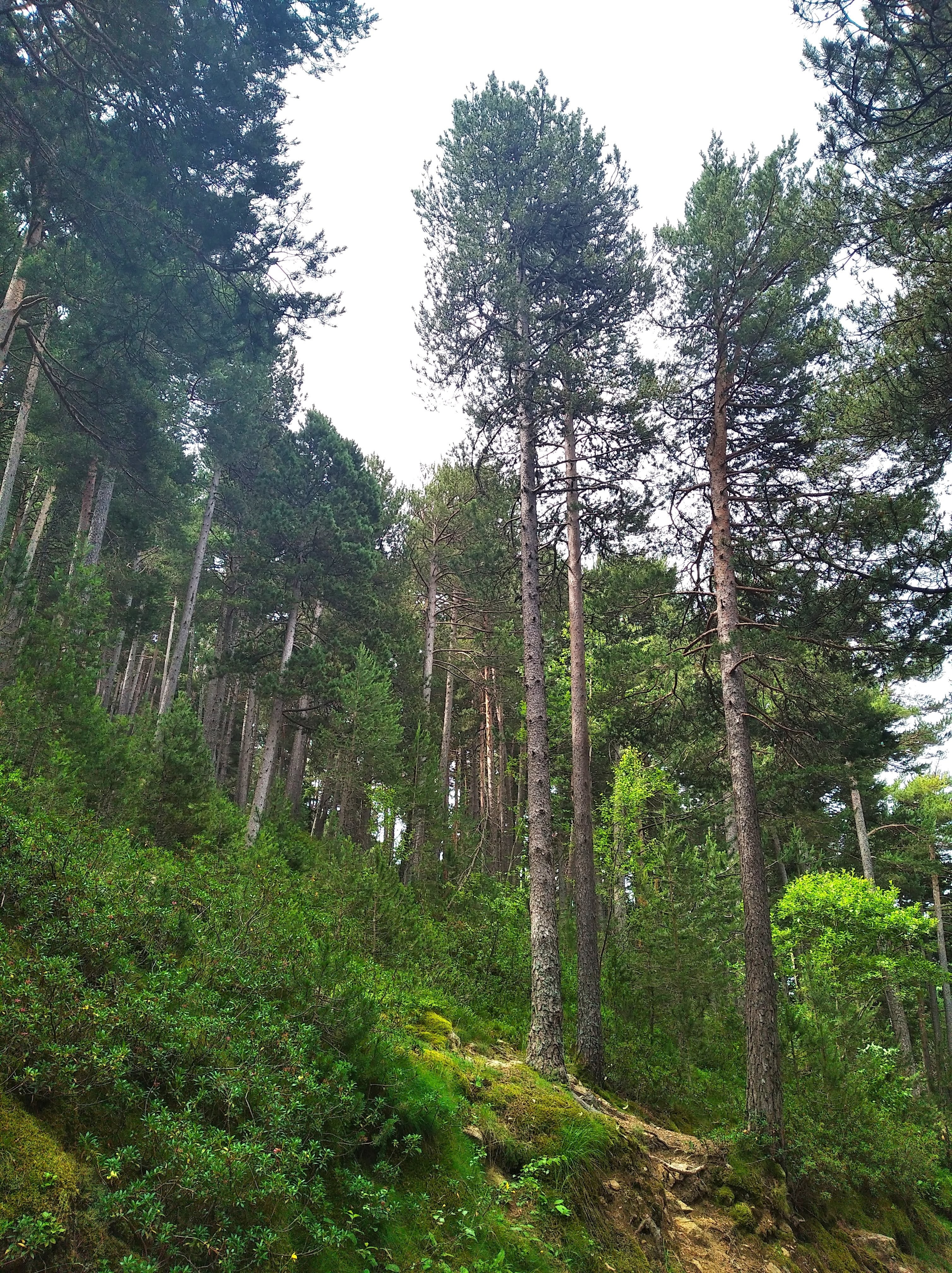 invertir en andorra 2